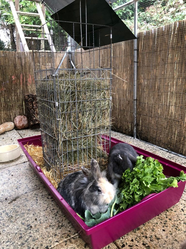 Heuraufe für Kaninchen Futterklo